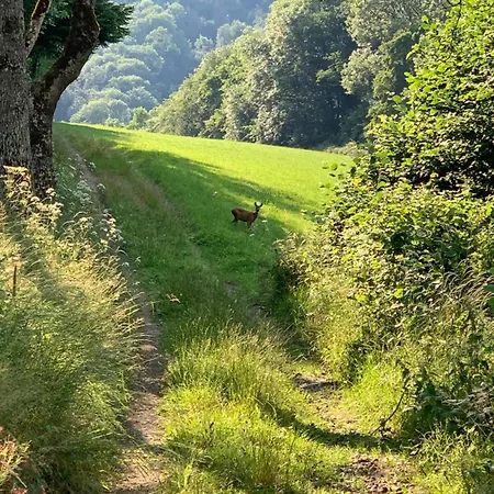 La Maison Du Père Louis